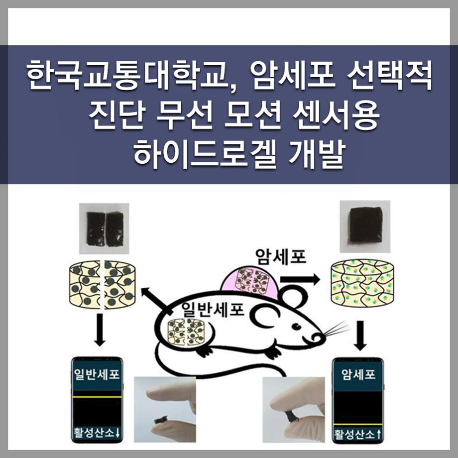 한국교통대학교, 암세포 선택적 진단 무선 모션 센서용 하이드로겔 개발