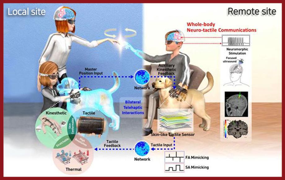 촉각 경험을 주고 받는 텔레-햅틱 기술, 미래 메타버스 산업 선도하는 핵심기술로 리서치