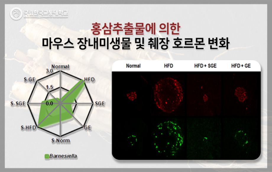 ‘ 장내 마이크로바이옴 개선을 통한 홍삼의 항비만 · 항당뇨 효능 새로운 기전 ’ 규명