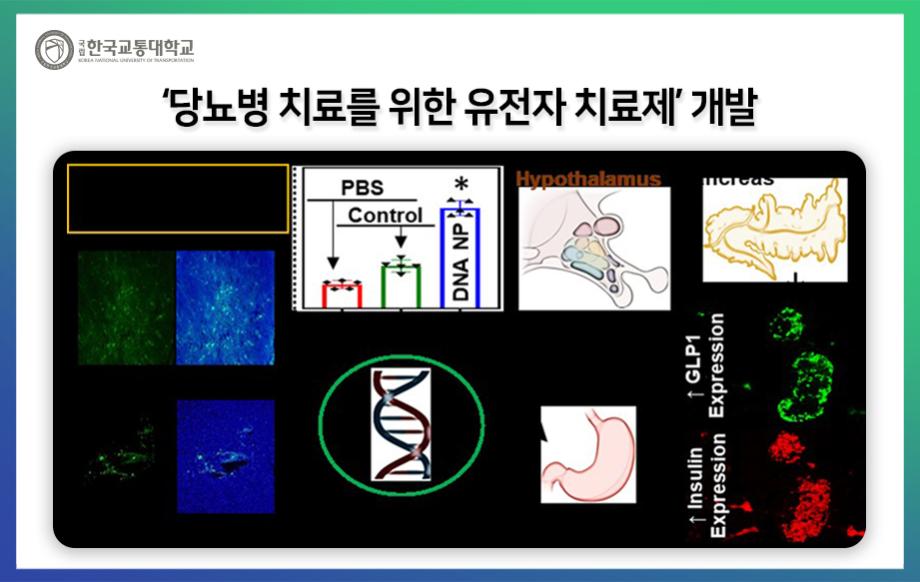 ‘당뇨병 치료를 위한 유전자 치료제’ 개발