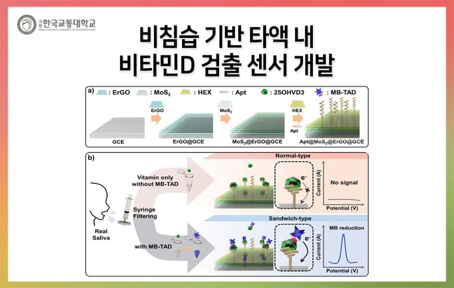 비침습 기반 타액 내 비타민D 검출 센서 개발