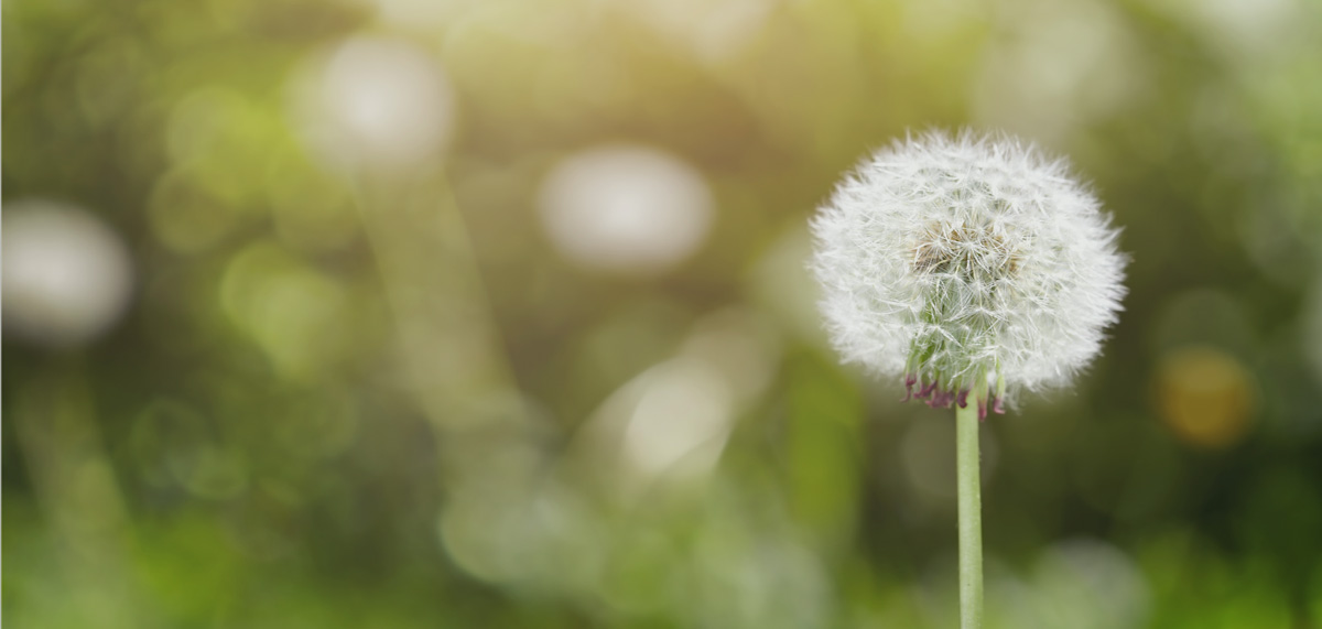 환경공학전공 이미지