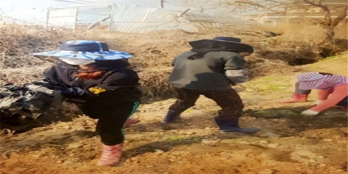 발로뛰어 활동
