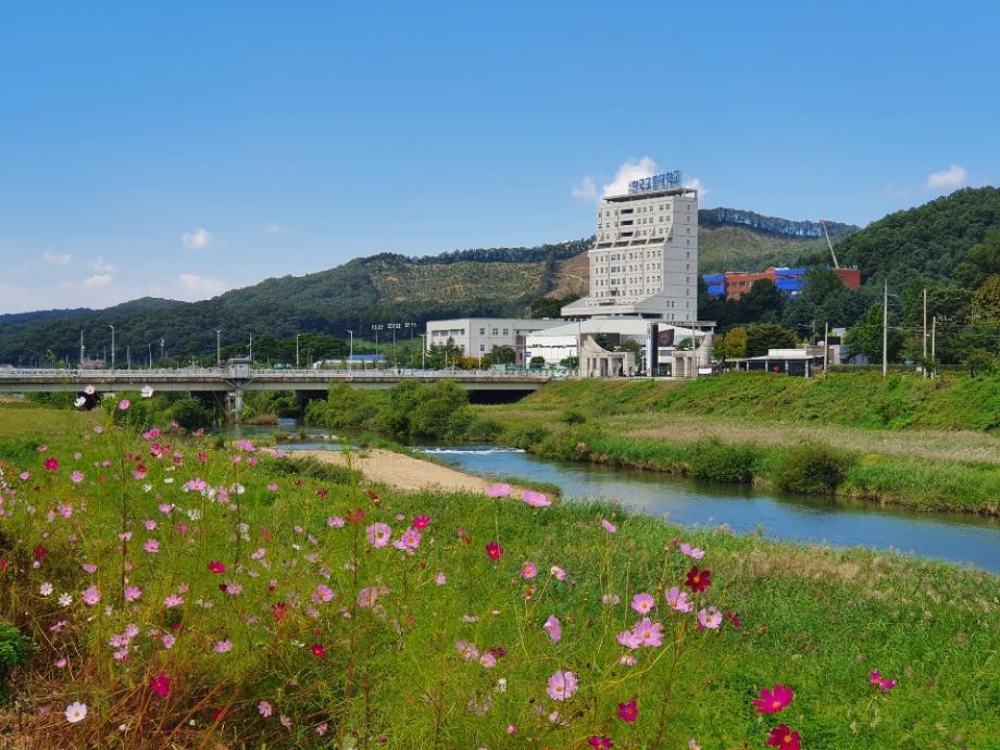 2020년 우리대학의 가을...2